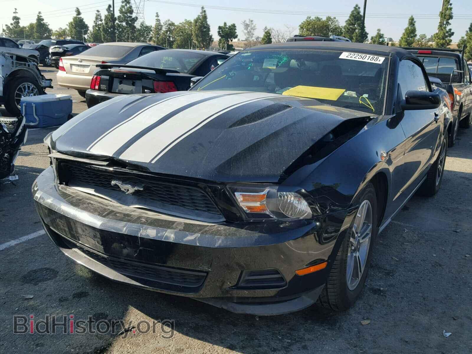 2011 FORD MUSTANG - VIN: 1ZVBP8EM9B5126441 - Фото 2