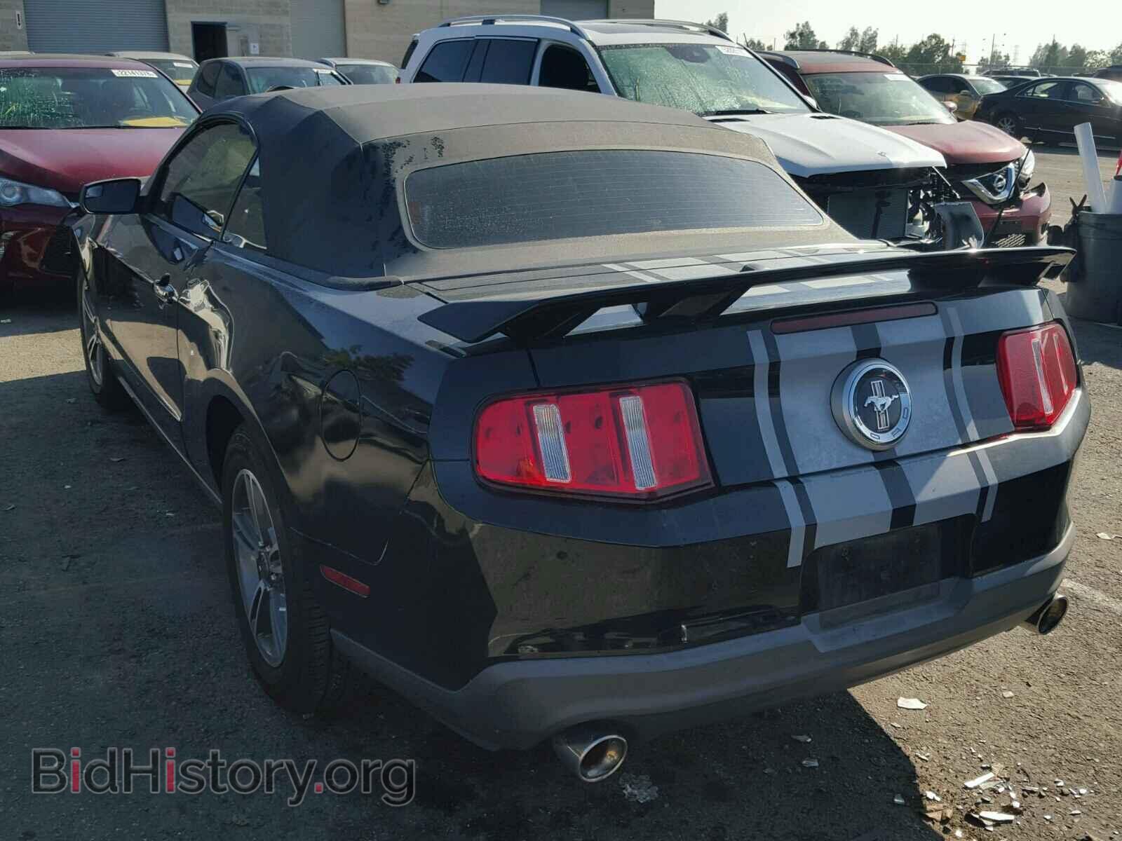 2011 FORD MUSTANG - VIN: 1ZVBP8EM9B5126441 - Фото 3