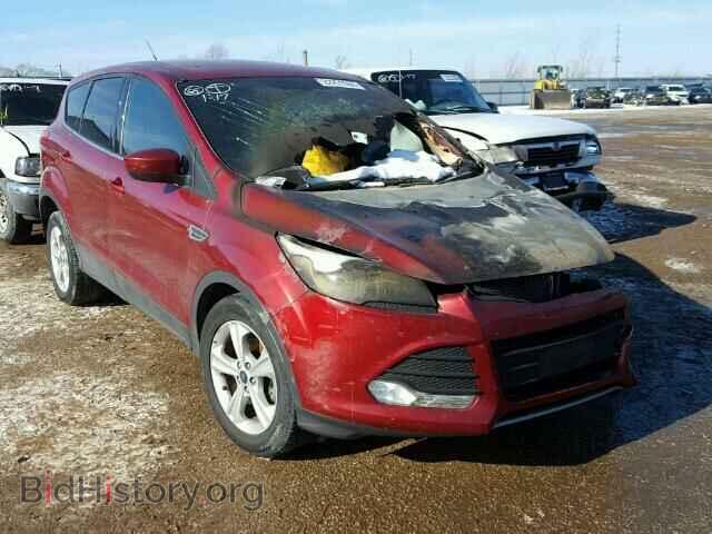 Photo 1FMCU0GX6EUB05853 - FORD ESCAPE 2014