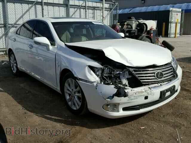 Фотография JTHBK1EGXA2390561 - LEXUS ES350 2010