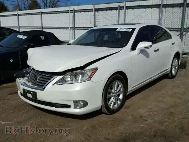 2010 LEXUS ES350 - VIN: JTHBK1EGXA2390561 - Фото 2
