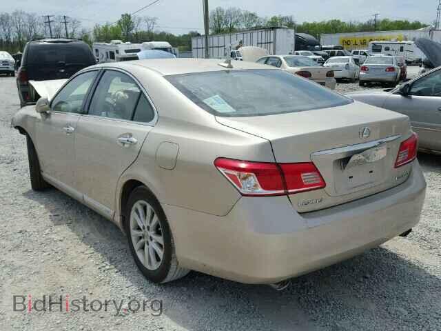 2010 LEXUS ES350 - VIN: JTHBK1EG9A2406717 - Фото 3