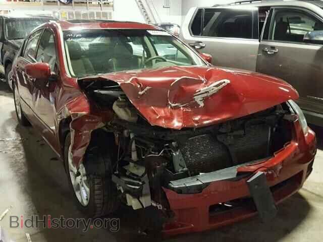Photo 1N4BA41E08C814978 - NISSAN MAXIMA 2008