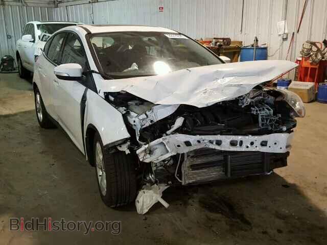 Photo 1FADP3K22DL336241 - FORD FOCUS 2013