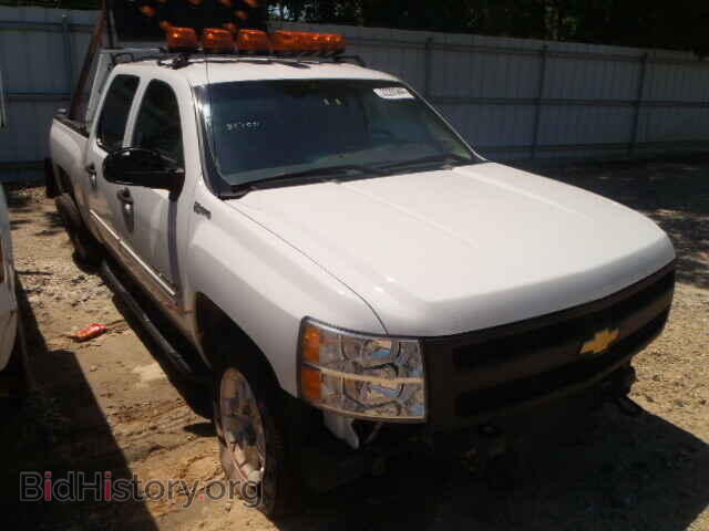 Photo 3GCXKUEJ4AG215251 - CHEVROLET SILVERADO 2010