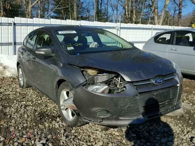 Photo 1FADP3K29DL186029 - FORD FOCUS 2013