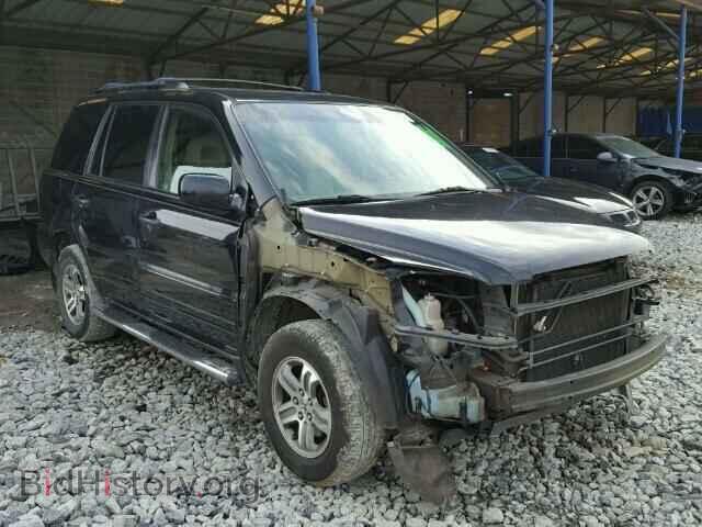Photo 5FNYF18625B016869 - HONDA PILOT 2005