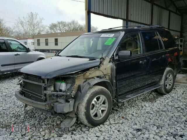 2005 HONDA PILOT - VIN: 5FNYF18625B016869 - Фото 2