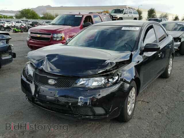 2010 KIA FORTE - VIN: KNAFT4A2XA5268564 - Photo 2