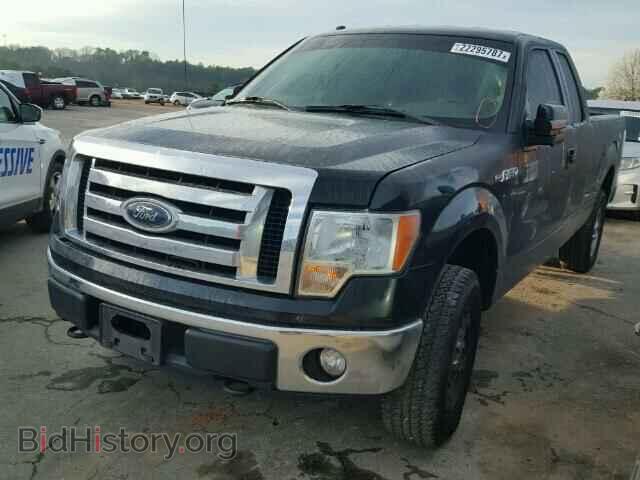 2012 FORD F150 - VIN: 1FTFX1EF5CFD03625 - Фото 2