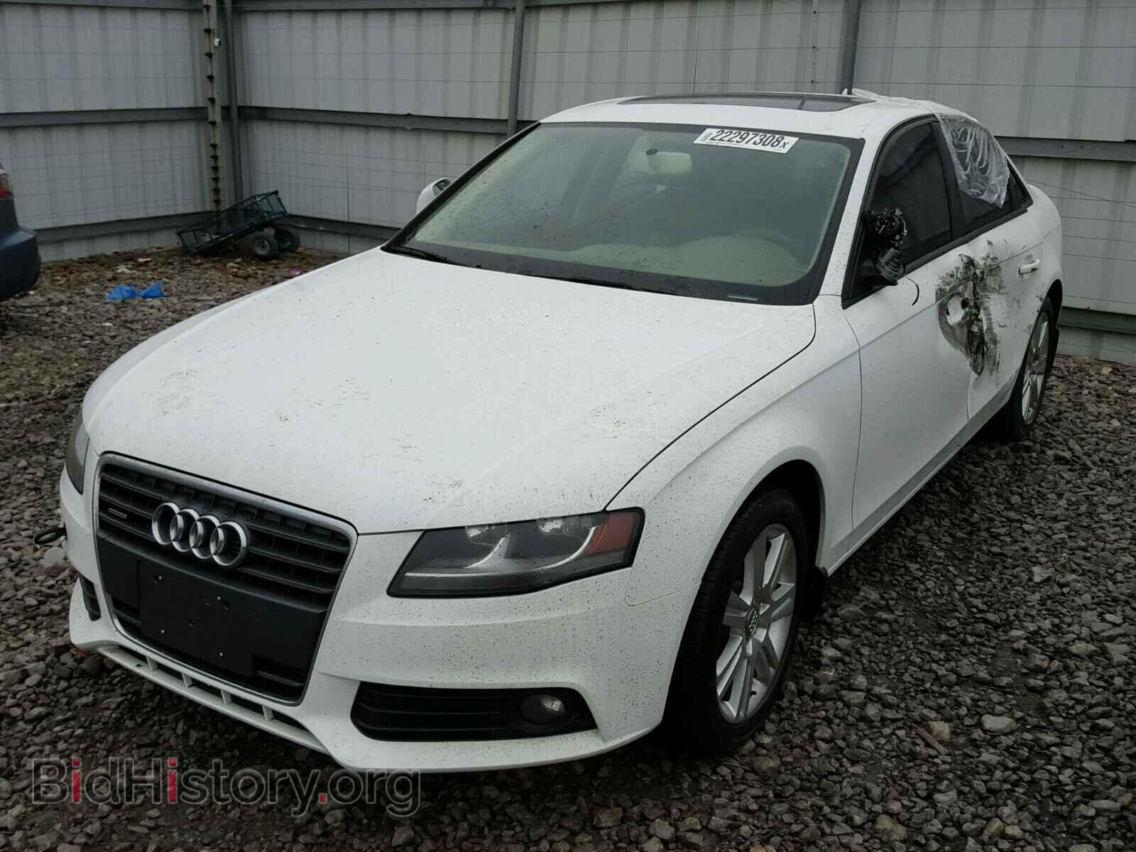 2011 AUDI A4 - VIN: WAUBFAFL8BN041994 - Фото 2