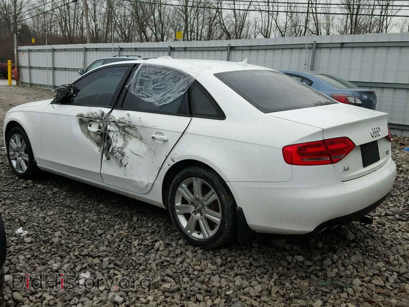 2011 AUDI A4 - VIN: WAUBFAFL8BN041994 - Фото 3