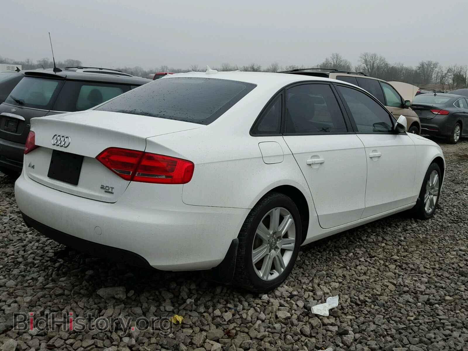 2011 AUDI A4 - VIN: WAUBFAFL8BN041994 - Фото 4