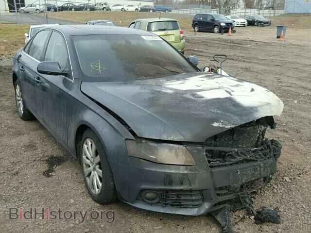 Фотография WAUFFAFL8AN013029 - AUDI A4 2010