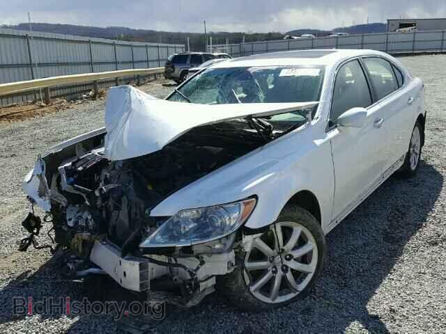 2008 LEXUS LS460 - VIN: JTHGL46F585026180 - Фото 2