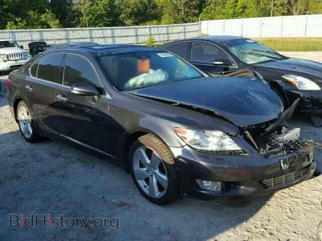 Photo JTHBL5EF1B5102695 - LEXUS LS460 2011