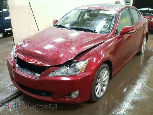 2010 LEXUS IS250 - VIN: JTHCF5C28A5037371 - Фото 2
