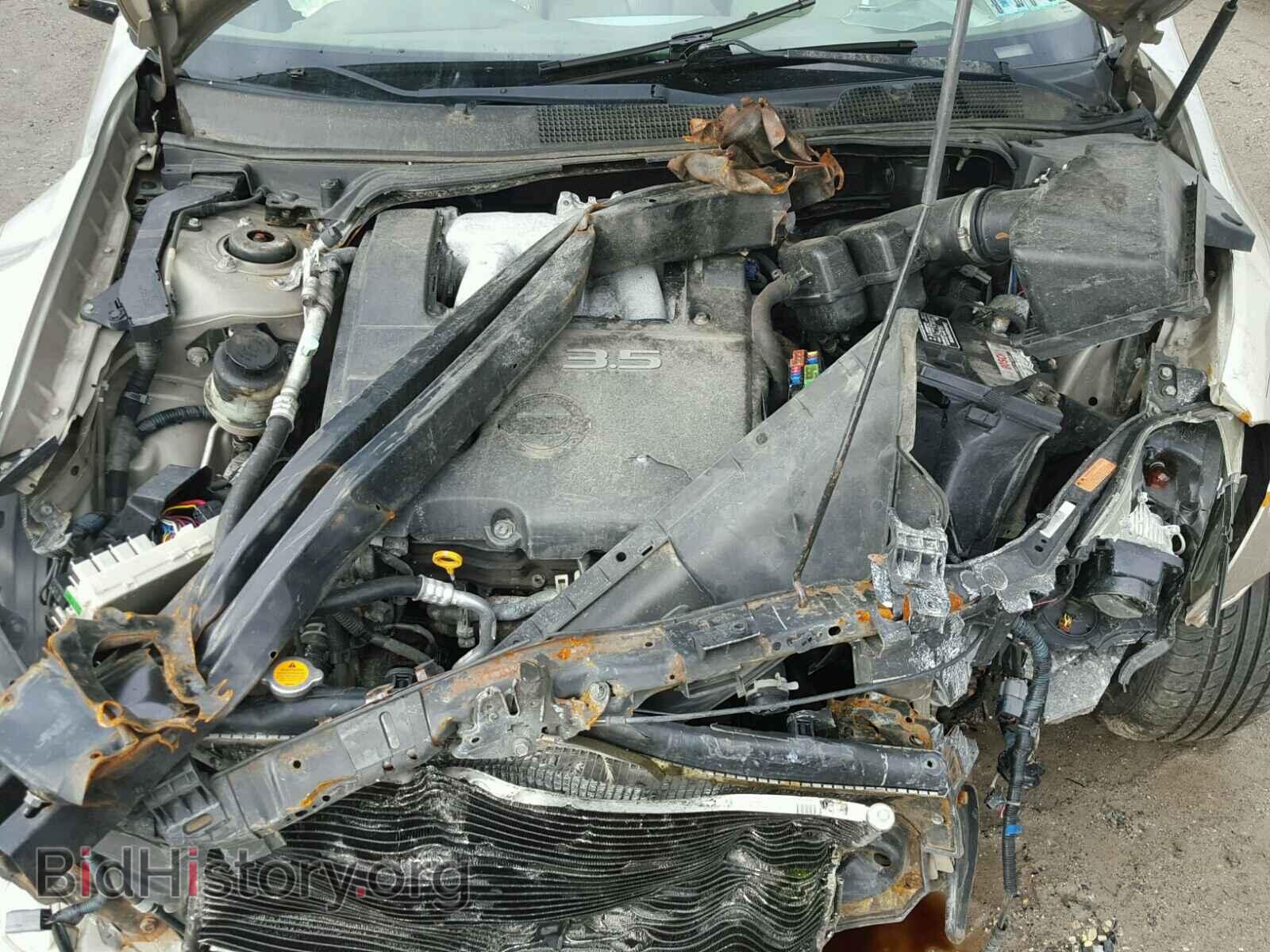 2005 NISSAN MAXIMA - VIN: 1N4BA41E85C866631 - Фото 7
