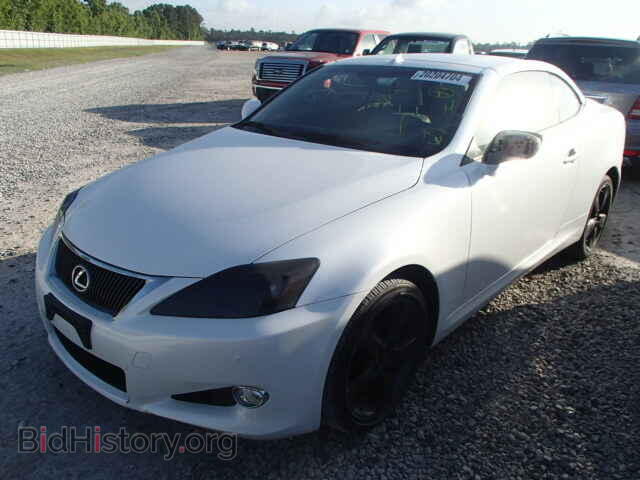 2011 LEXUS IS250 - VIN: JTHFF2C28B2519398 - Фото 2