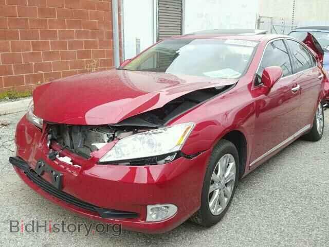 2010 LEXUS ES350 - VIN: JTHBK1EG0A2377821 - Фото 2