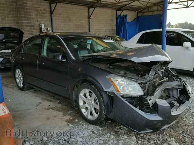 Photo 1N4BA41E68C834636 - NISSAN MAXIMA 2008