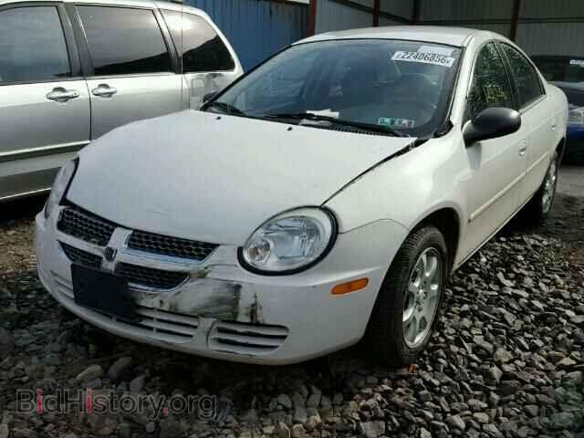 2005 DODGE NEON - VIN: 1B3ES56C65D243540 - Фото 2