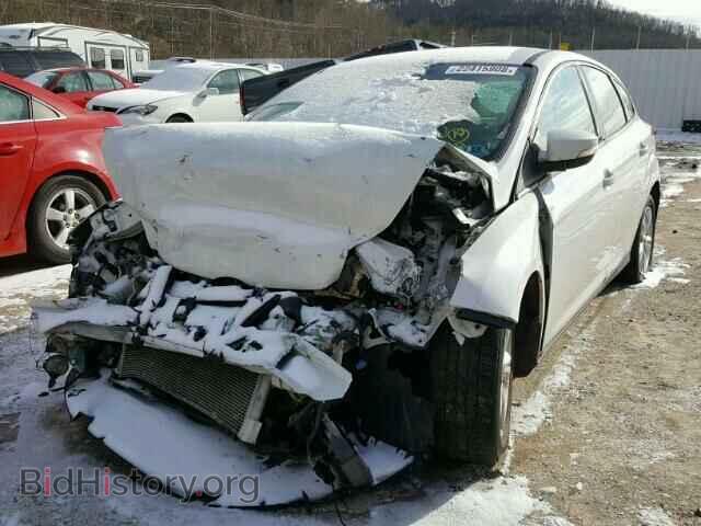 2013 FORD FOCUS - VIN: 1FADP3K20DL312701 - Фото 2