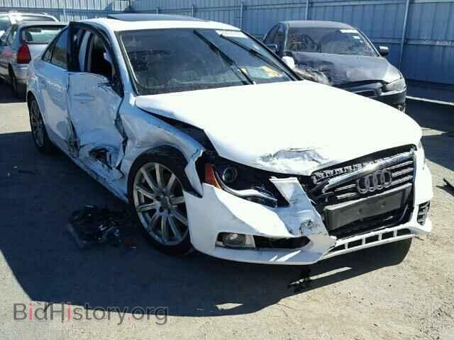 Фотография WAUFFAFL1AN058913 - AUDI A4 2010