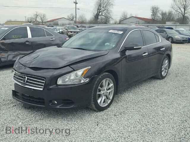 2010 NISSAN MAXIMA - VIN: 1N4AA5AP1AC866273 - Фото 2