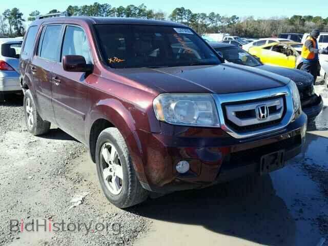 Фотография 5FNYF3H73BB047788 - HONDA PILOT 2011