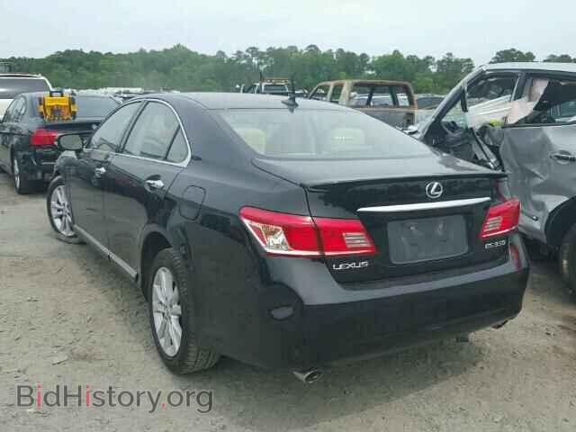 2010 LEXUS ES350 - VIN: JTHBK1EG9A2405583 - Фото 3