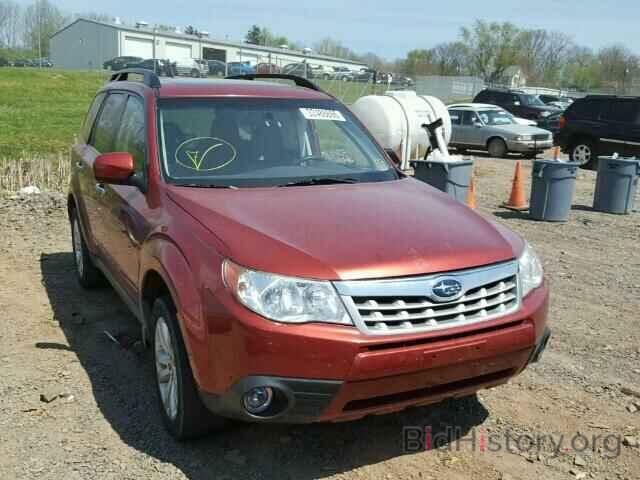 Photo JF2SHAFC0BH728187 - SUBARU FORESTER 2011