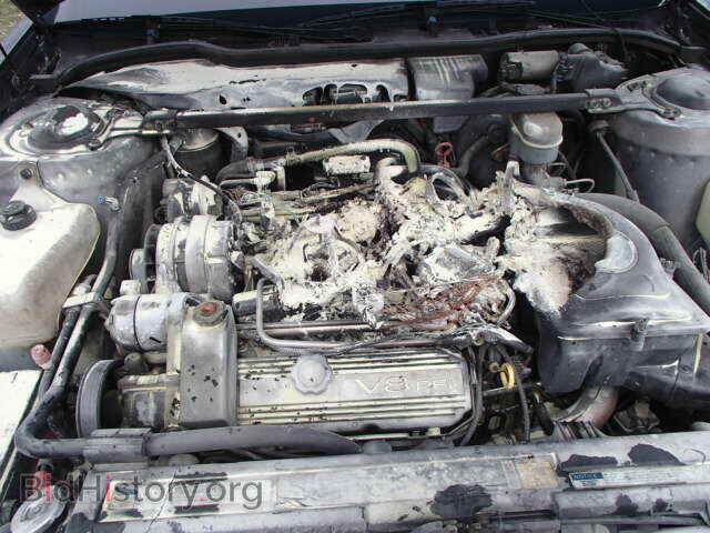 1991 CADILLAC DEVILLE - VIN: 1G6CD53B9M4301721 - Photo 7