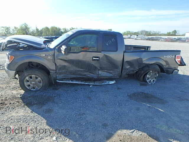 2013 FORD F150 - VIN: 1FTFX1EF2DFD99196 - Фото 10