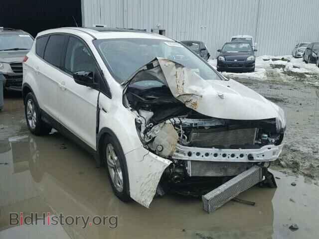 Фотография 1FMCU0G97DUC07405 - FORD ESCAPE 2013