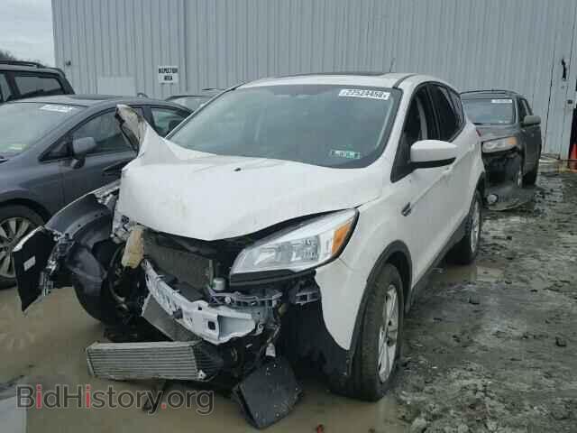 2013 FORD ESCAPE - VIN: 1FMCU0G97DUC07405 - Фото 2
