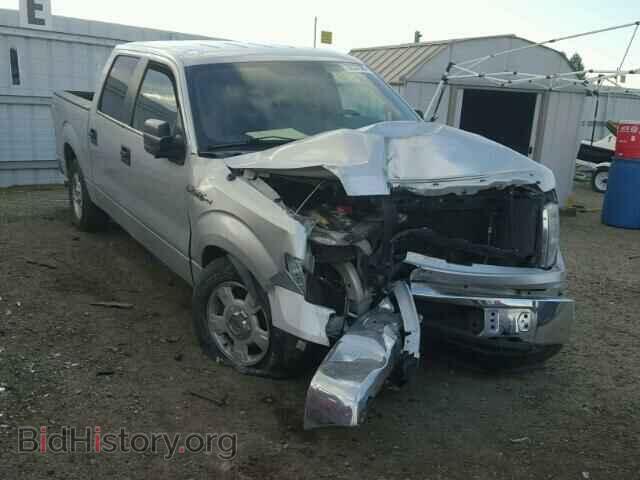 Фотография 1FTRW12859FA88567 - FORD F150 2009