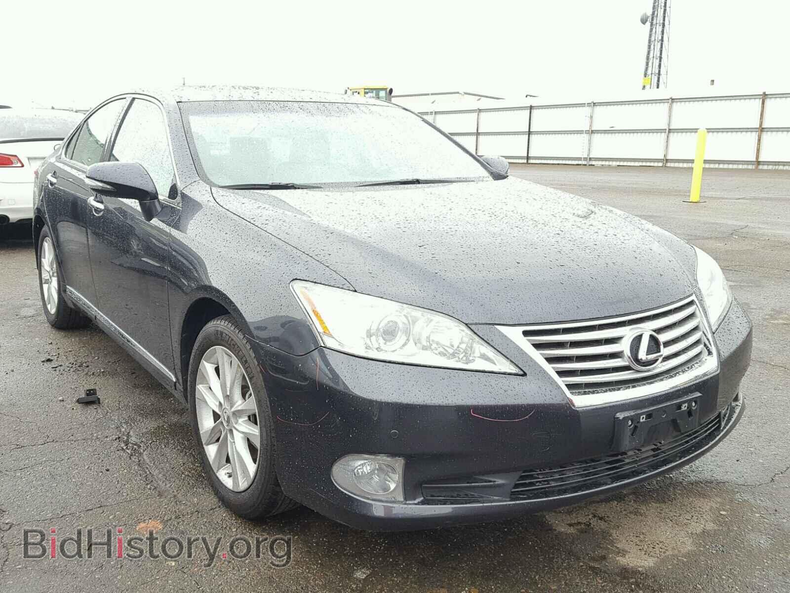 Фотография JTHBK1EG1B2453953 - LEXUS ES350 2011