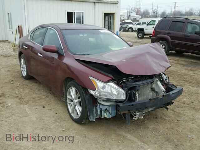 Фотография 1N4AA5AP8DC836482 - NISSAN MAXIMA 2013