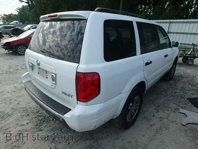 2005 HONDA PILOT - VIN: 5FNYF18505B045049 - Фото 4