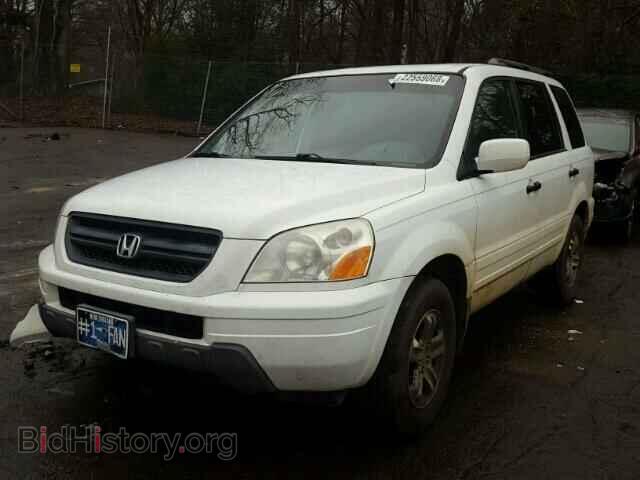 2005 HONDA PILOT - VIN: 5FNYF18655B027655 - Фото 2