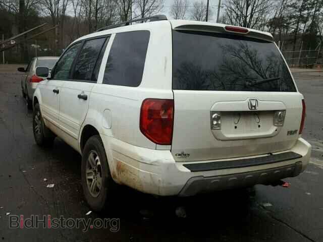 2005 HONDA PILOT - VIN: 5FNYF18655B027655 - Фото 3