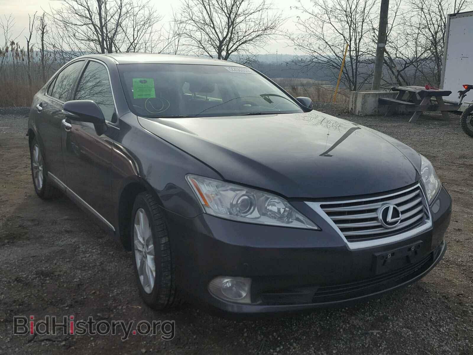 Фотография JTHBK1EG9A2374514 - LEXUS ES350 2010