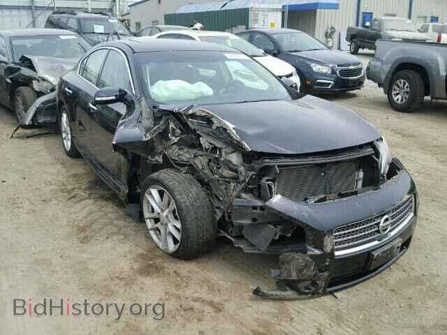 Photo 1N4AA51E09C828558 - NISSAN MAXIMA 2009