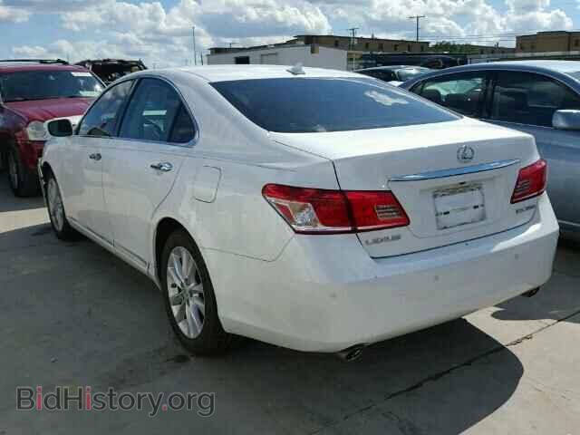2010 LEXUS ES350 - VIN: JTHBK1EG5A2368483 - Фото 3