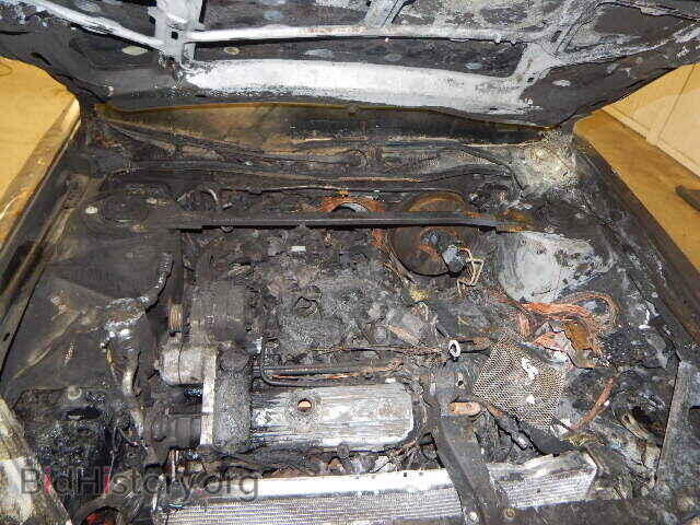 1995 CADILLAC DEVILLE - VIN: 1G6KD52B6SU256005 - Фото 7