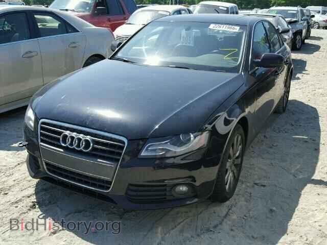 2010 AUDI A4 - VIN: WAUEFAFL3AN005822 - Фото 2