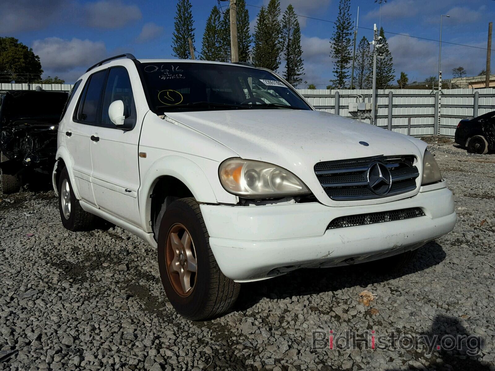 Photo 4JGAB54E5XA130616 - MERCEDES-BENZ ML 320 1999