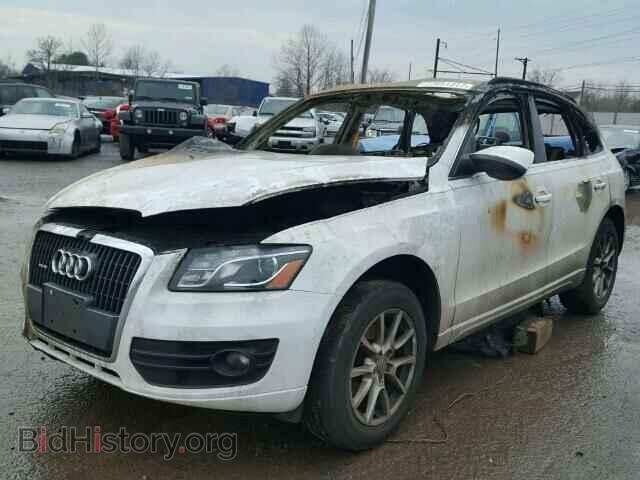 2011 AUDI Q5 - VIN: WA1LFAFP3BA036696 - Фото 2