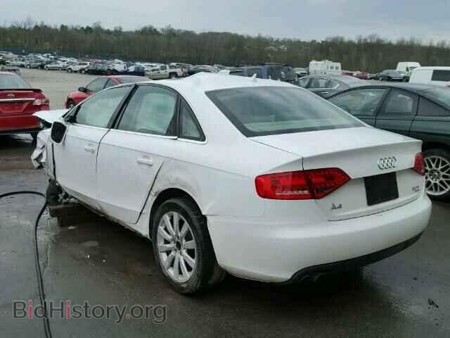 2010 AUDI A4 - VIN: WAUFFAFL4AN020351 - Фото 3